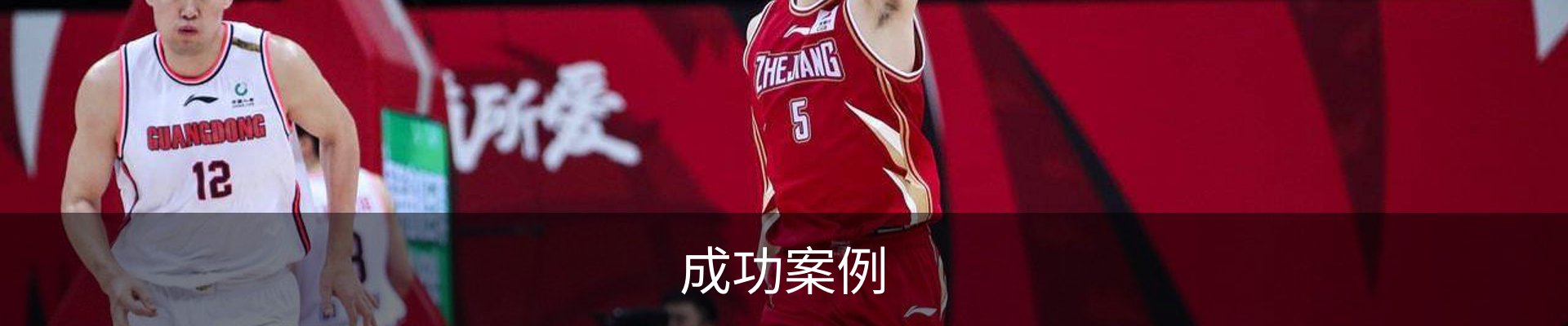 成功案例